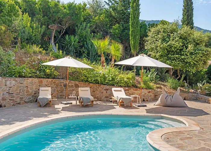 Tao - Golfe De St-tropez * 滨海卡瓦莱尔