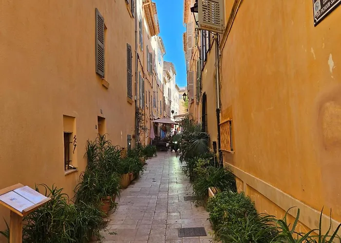 Tao - Golfe De St-tropez * 滨海卡瓦莱尔